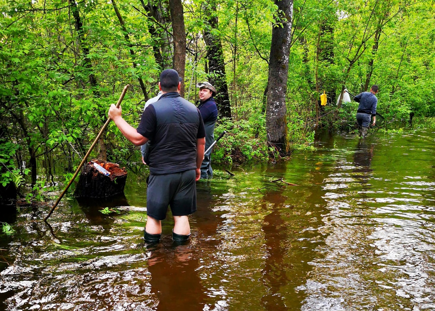 Большая вода в Запорожье: рыба плавает по дорогам и домам, – можно ловить  руками - Новини АПК | Головні фермерські новини України